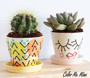 Color Me Mine Scottsdale Cute Planters