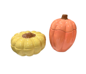 Color Me Mine Scottsdale Fall Pumpkin Boxes