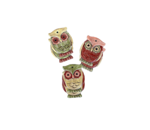 Color Me Mine Scottsdale Owl Ornaments