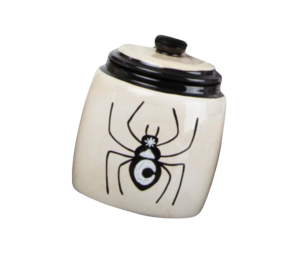 Color Me Mine Scottsdale Celestial Spider Jar